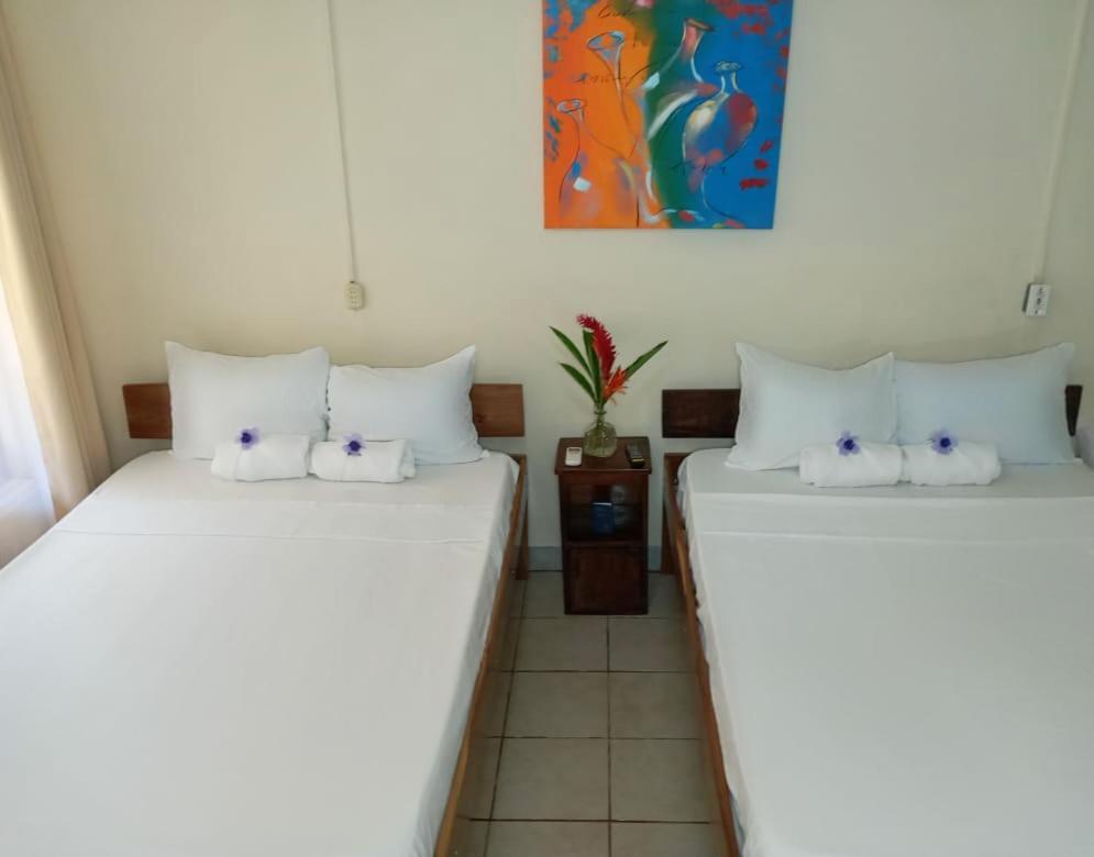 Cabinas Coco Alegre Экстерьер фото