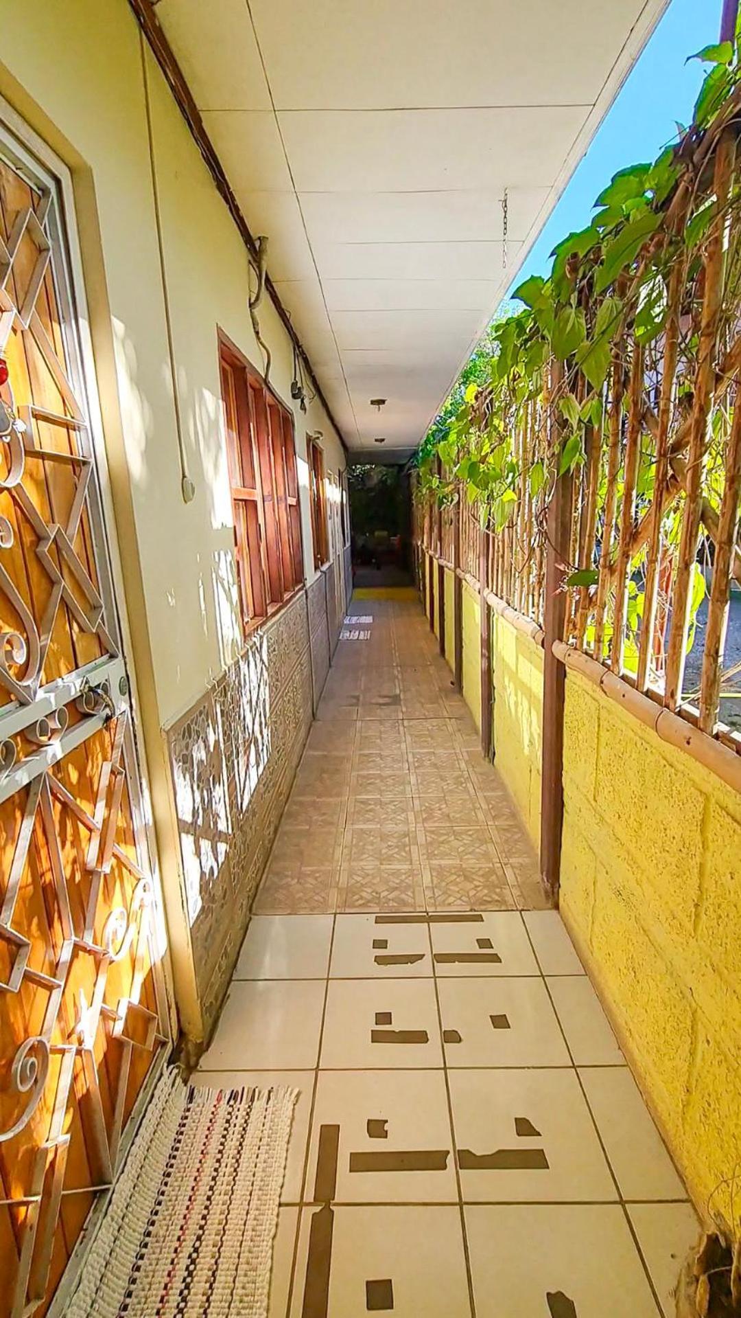 Cabinas Coco Alegre Экстерьер фото